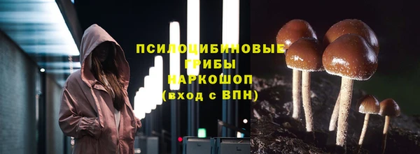 spice Балахна