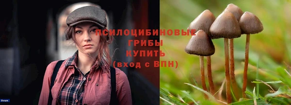 экстази Карпинск