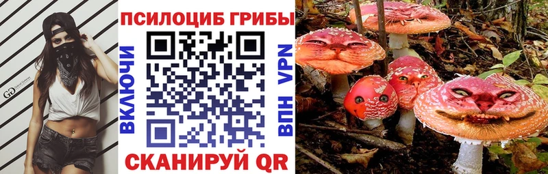 Псилоцибиновые грибы Psilocybine cubensis  mega зеркало  Медвежьегорск 